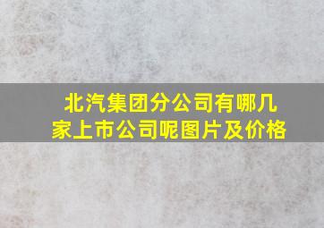 北汽集团分公司有哪几家上市公司呢图片及价格