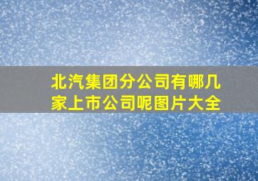 北汽集团分公司有哪几家上市公司呢图片大全