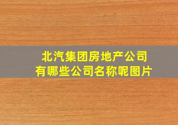 北汽集团房地产公司有哪些公司名称呢图片