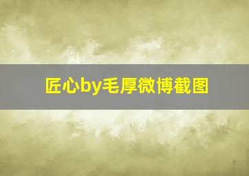 匠心by毛厚微博截图