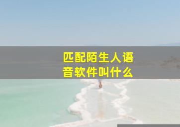 匹配陌生人语音软件叫什么