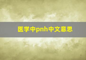 医学中pnh中文意思