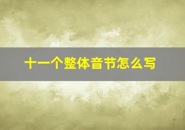 十一个整体音节怎么写