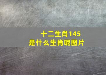 十二生肖145是什么生肖呢图片