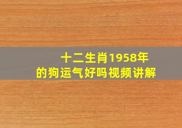 十二生肖1958年的狗运气好吗视频讲解