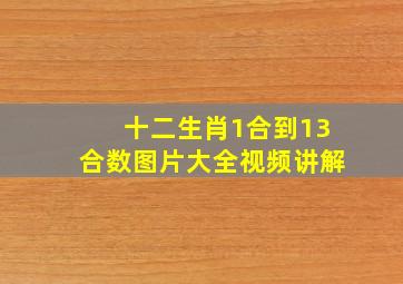 十二生肖1合到13合数图片大全视频讲解