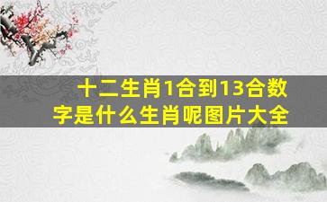 十二生肖1合到13合数字是什么生肖呢图片大全