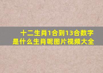 十二生肖1合到13合数字是什么生肖呢图片视频大全