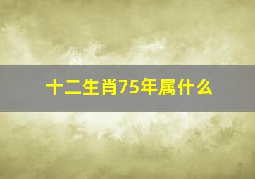 十二生肖75年属什么