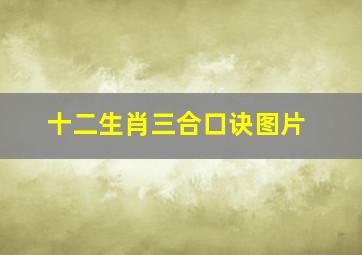 十二生肖三合口诀图片