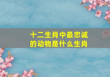 十二生肖中最忠诚的动物是什么生肖