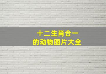 十二生肖合一的动物图片大全