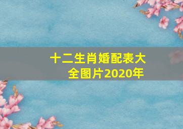 十二生肖婚配表大全图片2020年