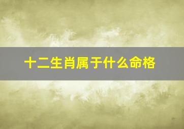 十二生肖属于什么命格