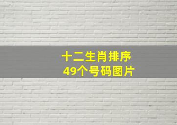 十二生肖排序49个号码图片