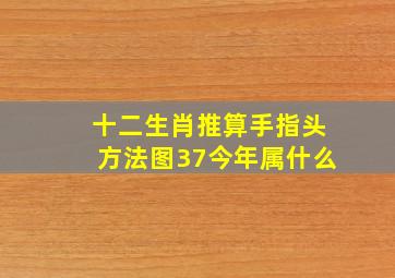 十二生肖推算手指头方法图37今年属什么