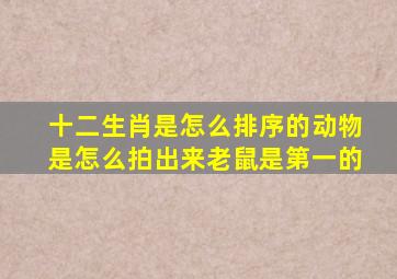 十二生肖是怎么排序的动物是怎么拍出来老鼠是第一的