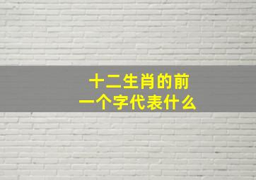 十二生肖的前一个字代表什么