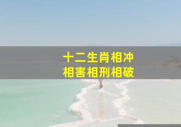 十二生肖相冲相害相刑相破