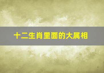 十二生肖里面的大属相