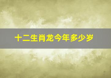 十二生肖龙今年多少岁