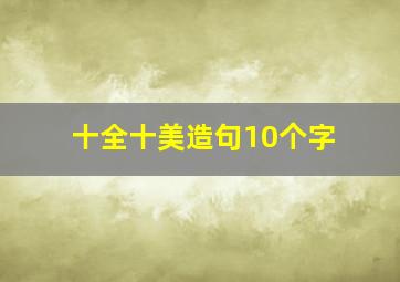 十全十美造句10个字