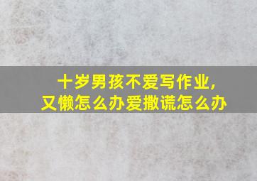 十岁男孩不爱写作业,又懒怎么办爱撒谎怎么办