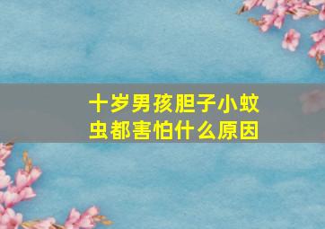 十岁男孩胆子小蚊虫都害怕什么原因