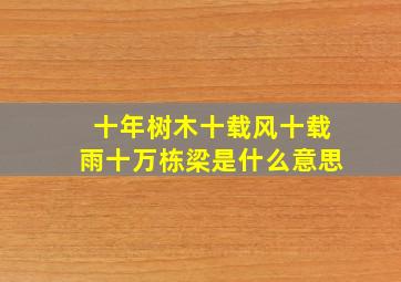 十年树木十载风十载雨十万栋梁是什么意思