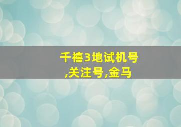 千禧3地试机号,关注号,金马