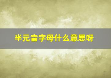 半元音字母什么意思呀