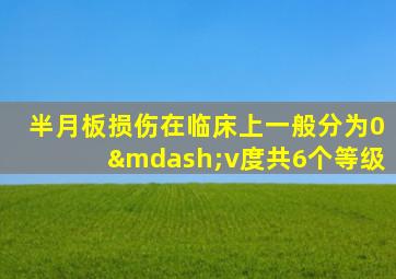 半月板损伤在临床上一般分为0—v度共6个等级