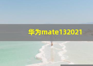 华为mate132021