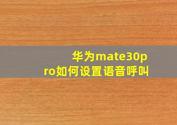 华为mate30pro如何设置语音呼叫