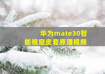 华为mate30智能视窗皮套原理视频