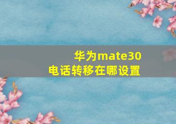 华为mate30电话转移在哪设置