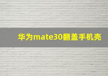 华为mate30翻盖手机壳