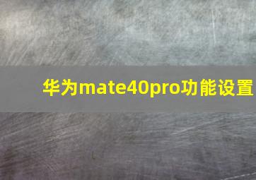 华为mate40pro功能设置