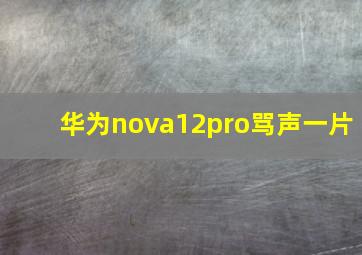 华为nova12pro骂声一片