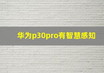 华为p30pro有智慧感知