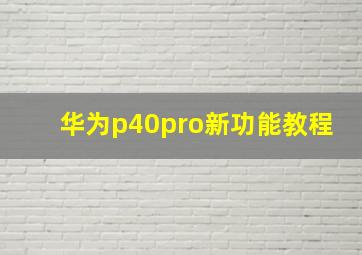 华为p40pro新功能教程