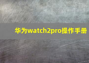 华为watch2pro操作手册