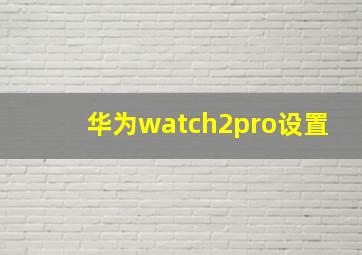 华为watch2pro设置