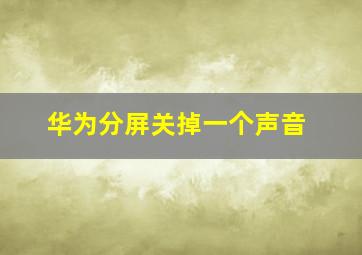 华为分屏关掉一个声音