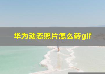 华为动态照片怎么转gif