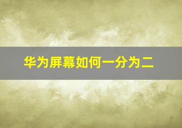 华为屏幕如何一分为二