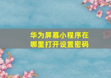 华为屏幕小程序在哪里打开设置密码