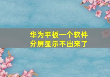 华为平板一个软件分屏显示不出来了