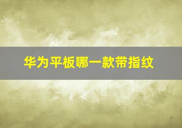 华为平板哪一款带指纹