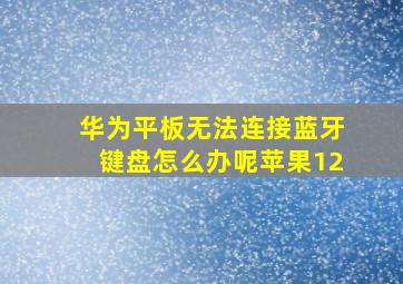 华为平板无法连接蓝牙键盘怎么办呢苹果12